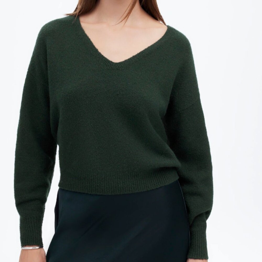 Madewell Wedged V-Neck Sweater (NWT)